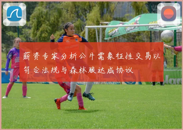 薪资专家分析公牛需象征性交易以符合法规与森林狼达成协议
