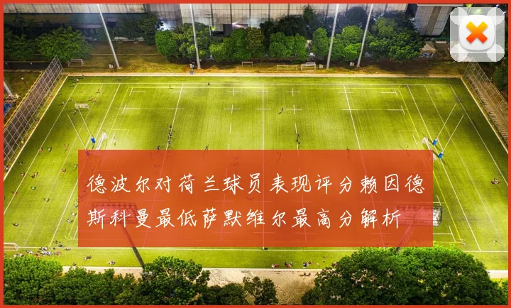 德波尔对荷兰球员表现评分赖因德斯科曼最低萨默维尔最高分解析