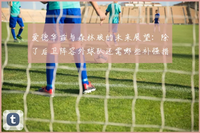 爱德华兹与森林狼的未来展望：除了后卫阵容外球队还需哪些补强措施